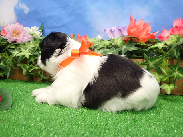 赤ちゃん写真2-2