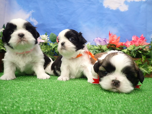 赤ちゃん写真2-3