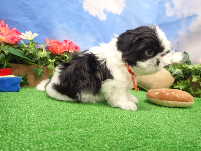 赤ちゃん写真3-2