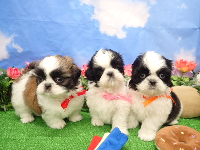 赤ちゃん写真3-3