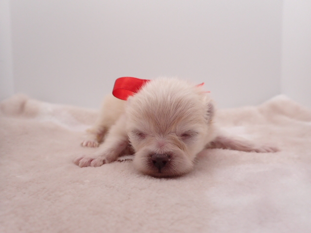 赤ちゃん写真1-1