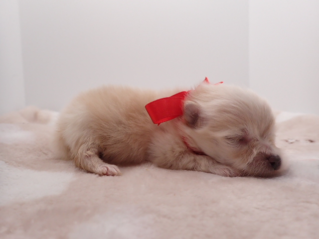 赤ちゃん写真1-2