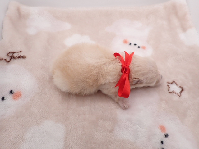 赤ちゃん写真1-3