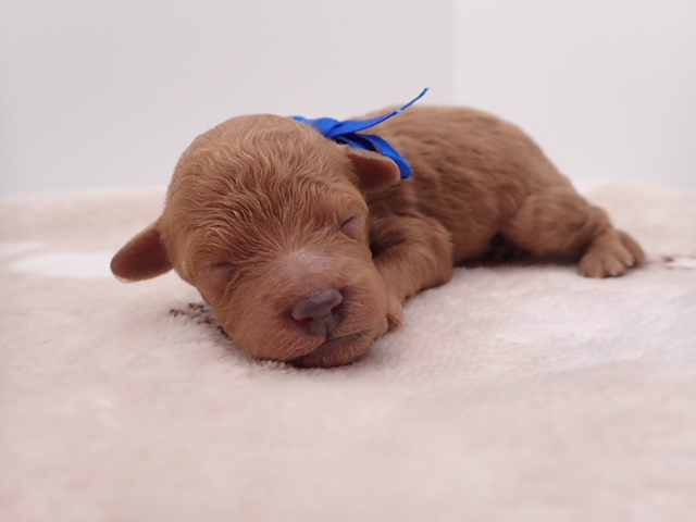 赤ちゃん写真1-1