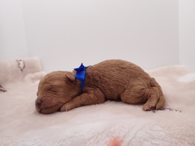 赤ちゃん写真1-2