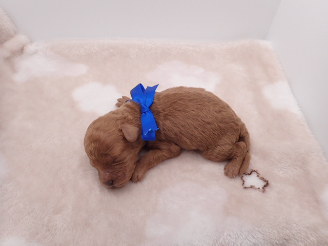 赤ちゃん写真1-3