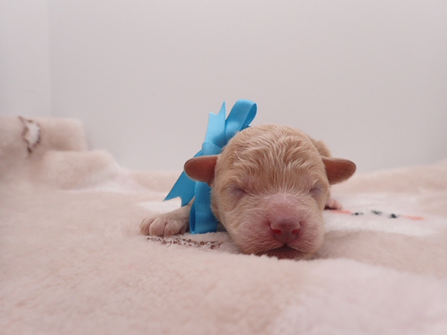 赤ちゃん写真1-1