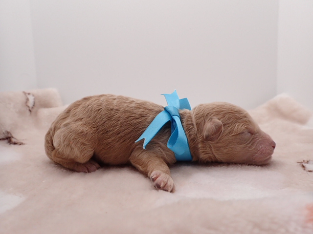 赤ちゃん写真1-2