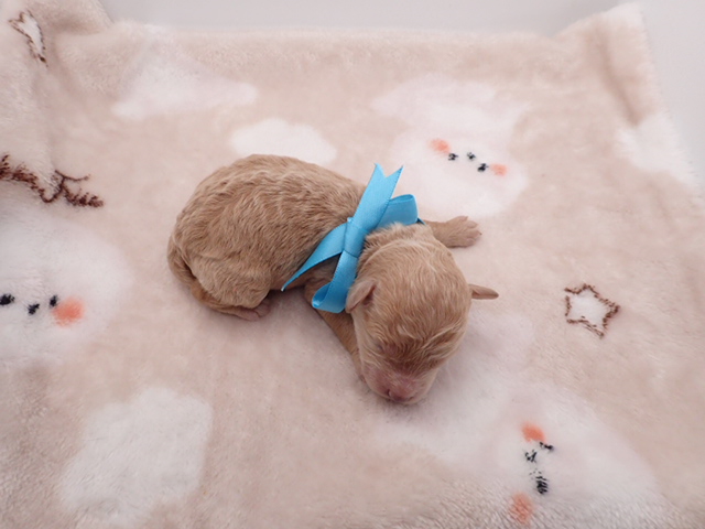 赤ちゃん写真1-3