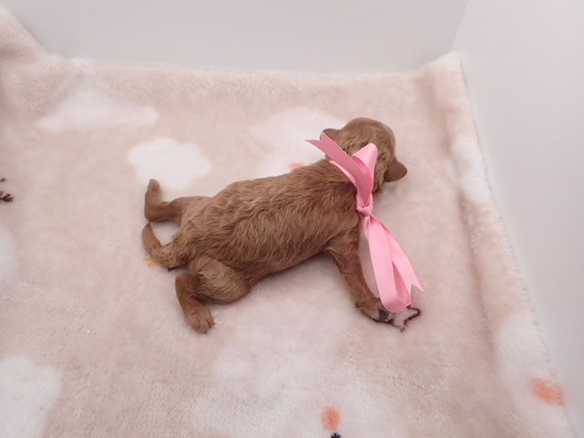 赤ちゃん写真1-3