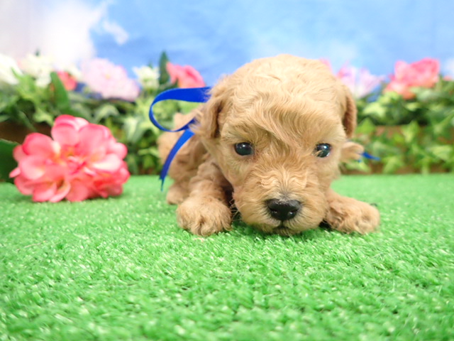 赤ちゃん写真2-1