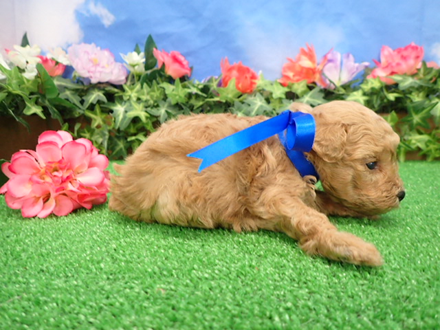 赤ちゃん写真2-2