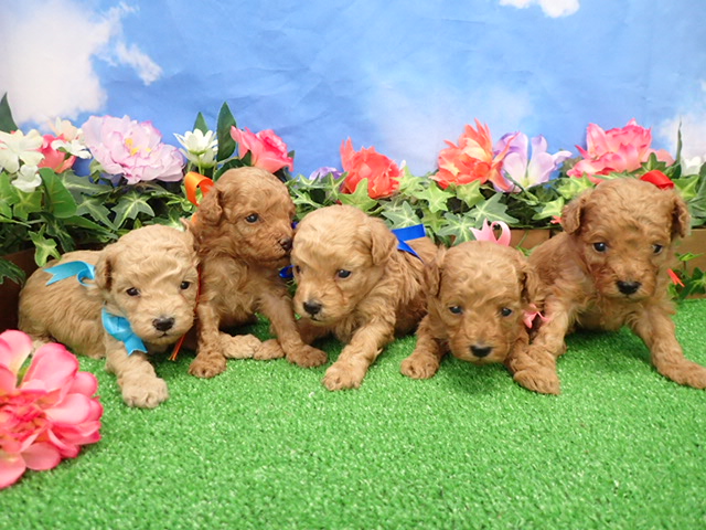 赤ちゃん写真2-3