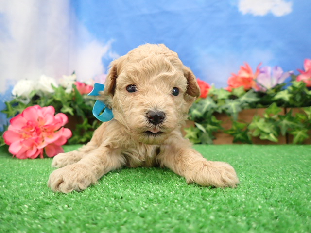 赤ちゃん写真2-1