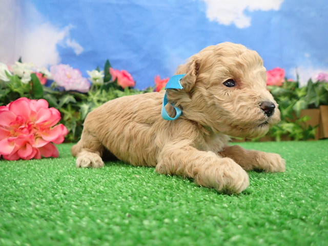 赤ちゃん写真2-2