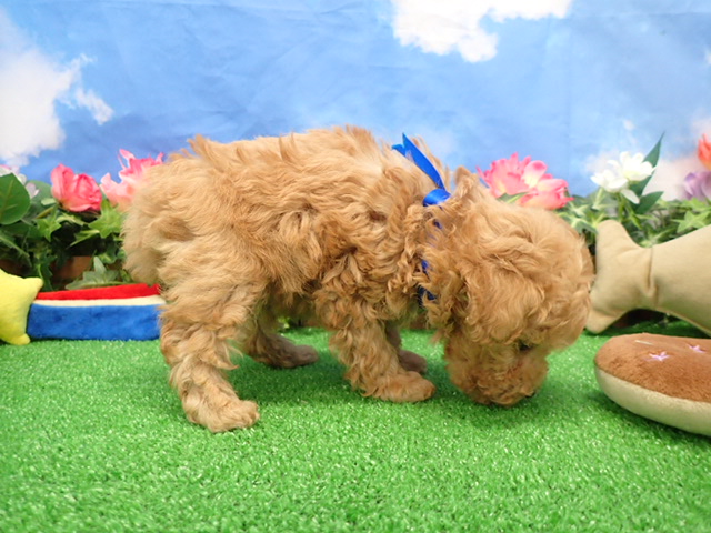 赤ちゃん写真3-2