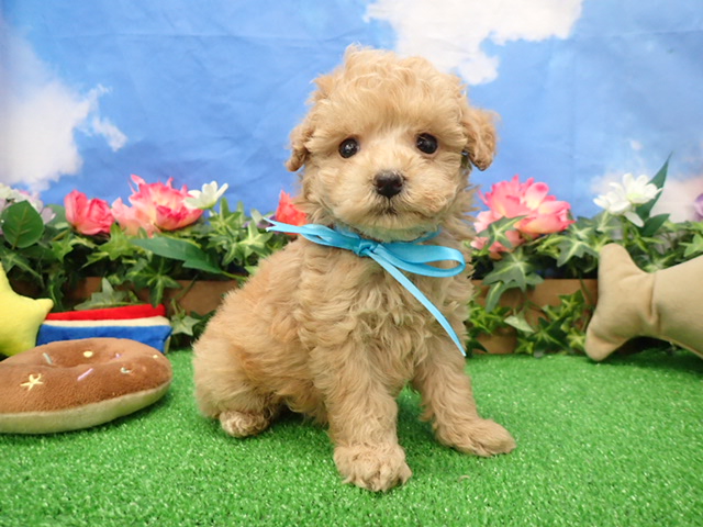 赤ちゃん写真3-1