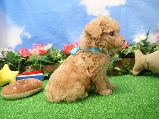 赤ちゃん写真3-2