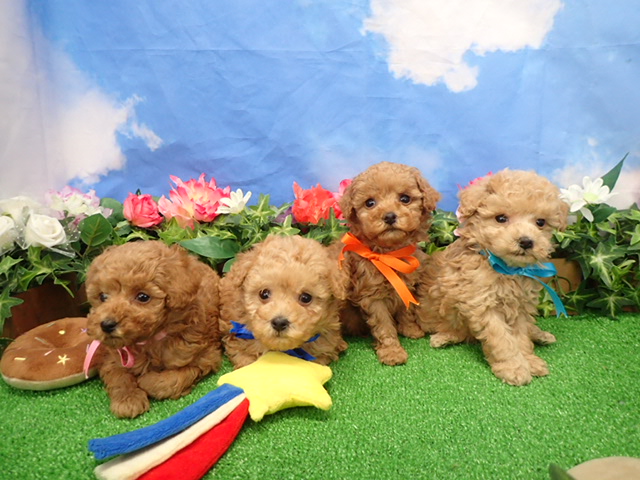 赤ちゃん写真3-3