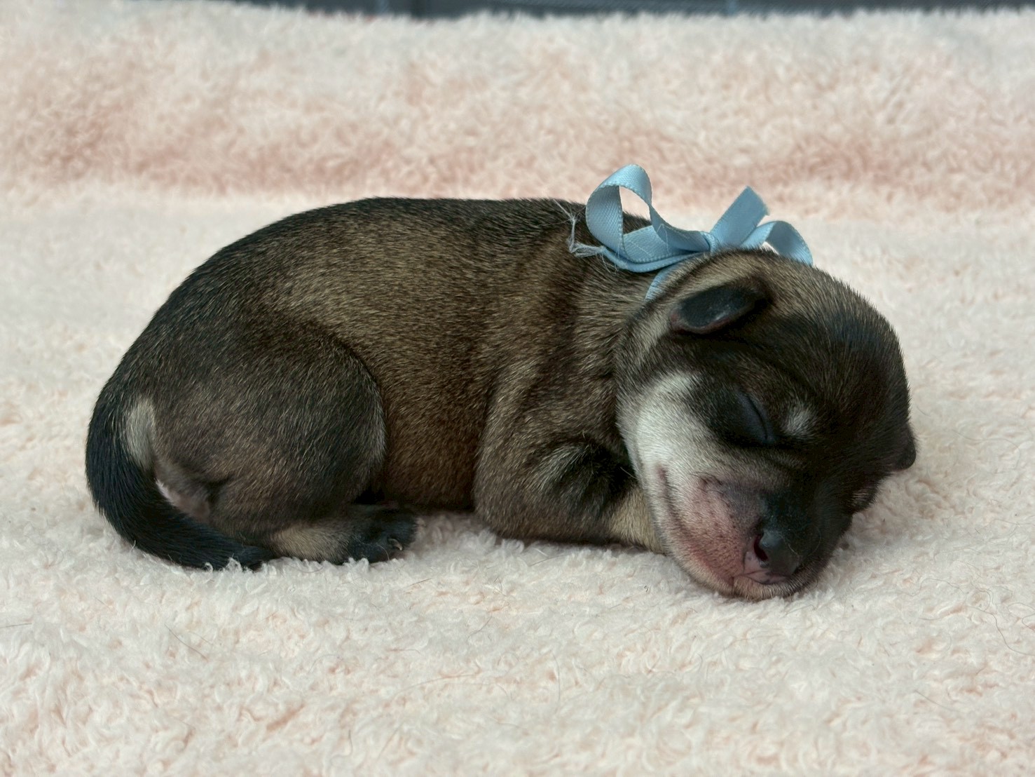 赤ちゃん写真1-2