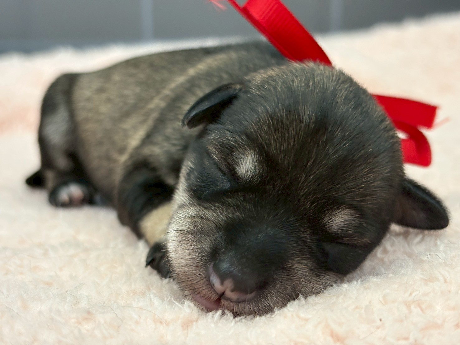 赤ちゃん写真1-1