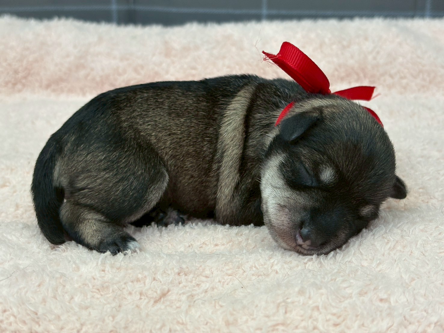 赤ちゃん写真1-2