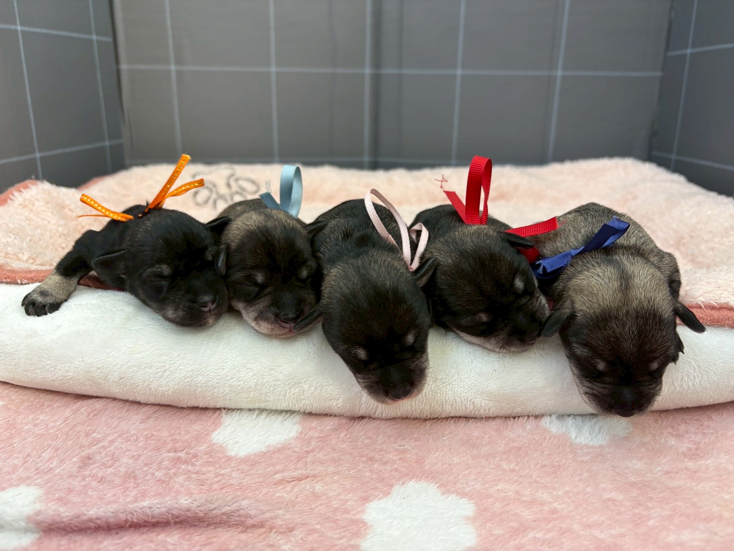 赤ちゃん写真1-3