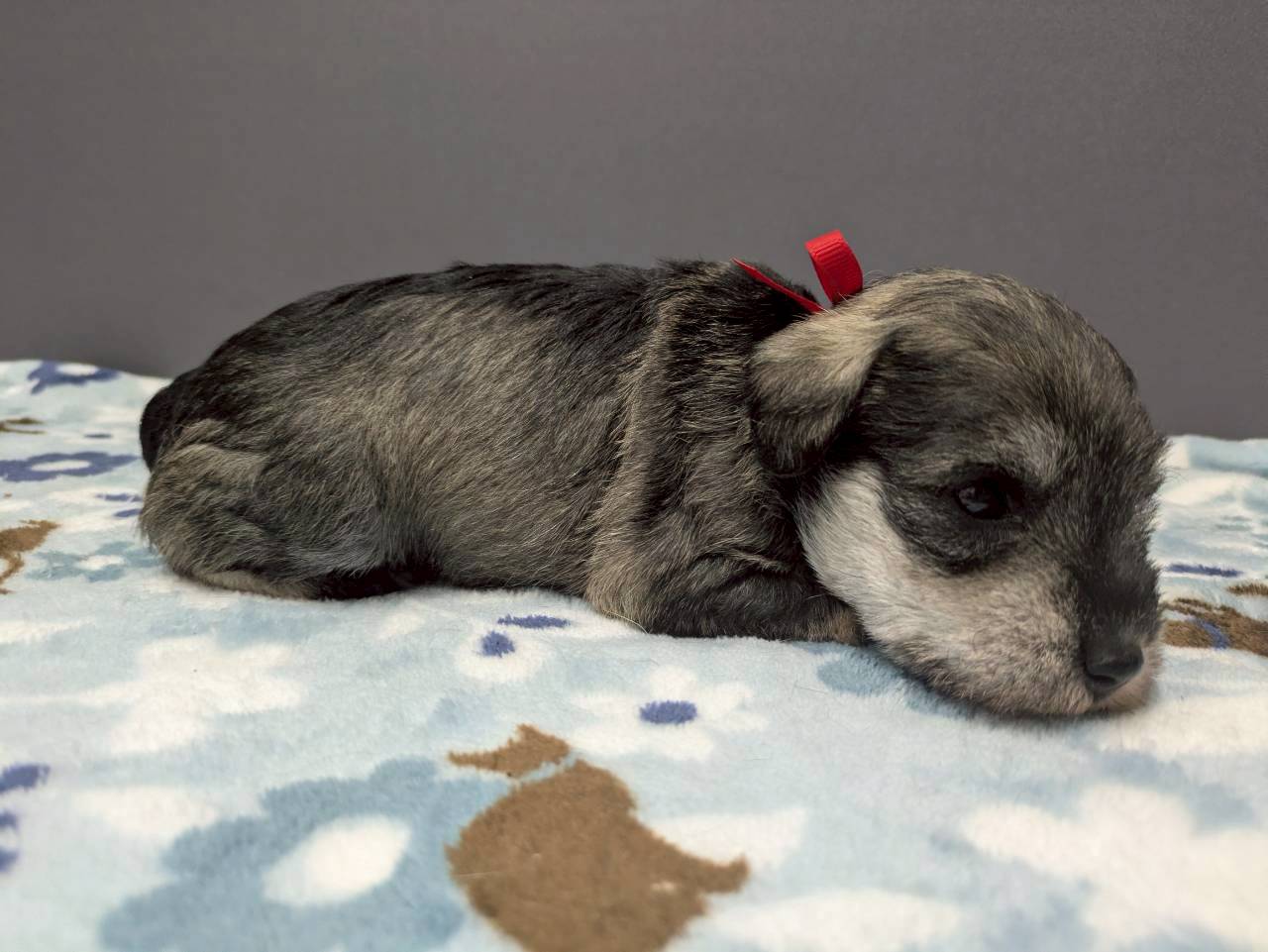 赤ちゃん写真2-2