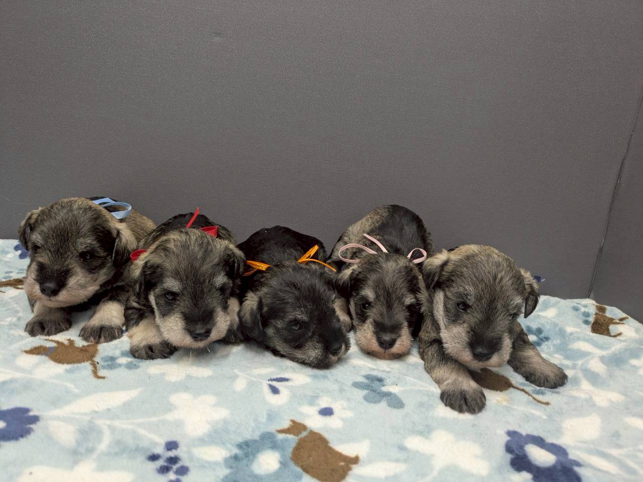 赤ちゃん写真2-3