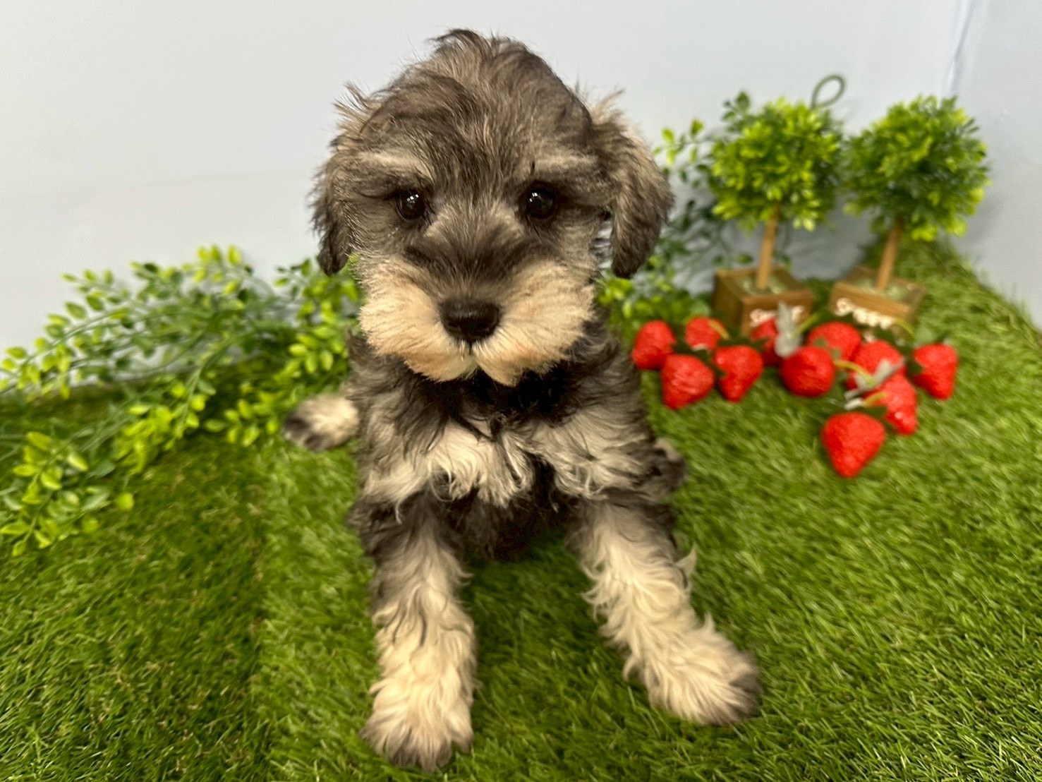 赤ちゃん写真3-1