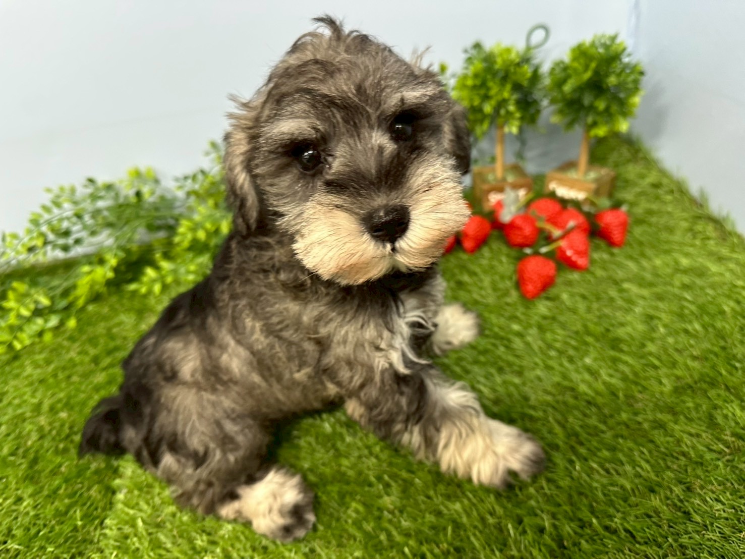 赤ちゃん写真3-2