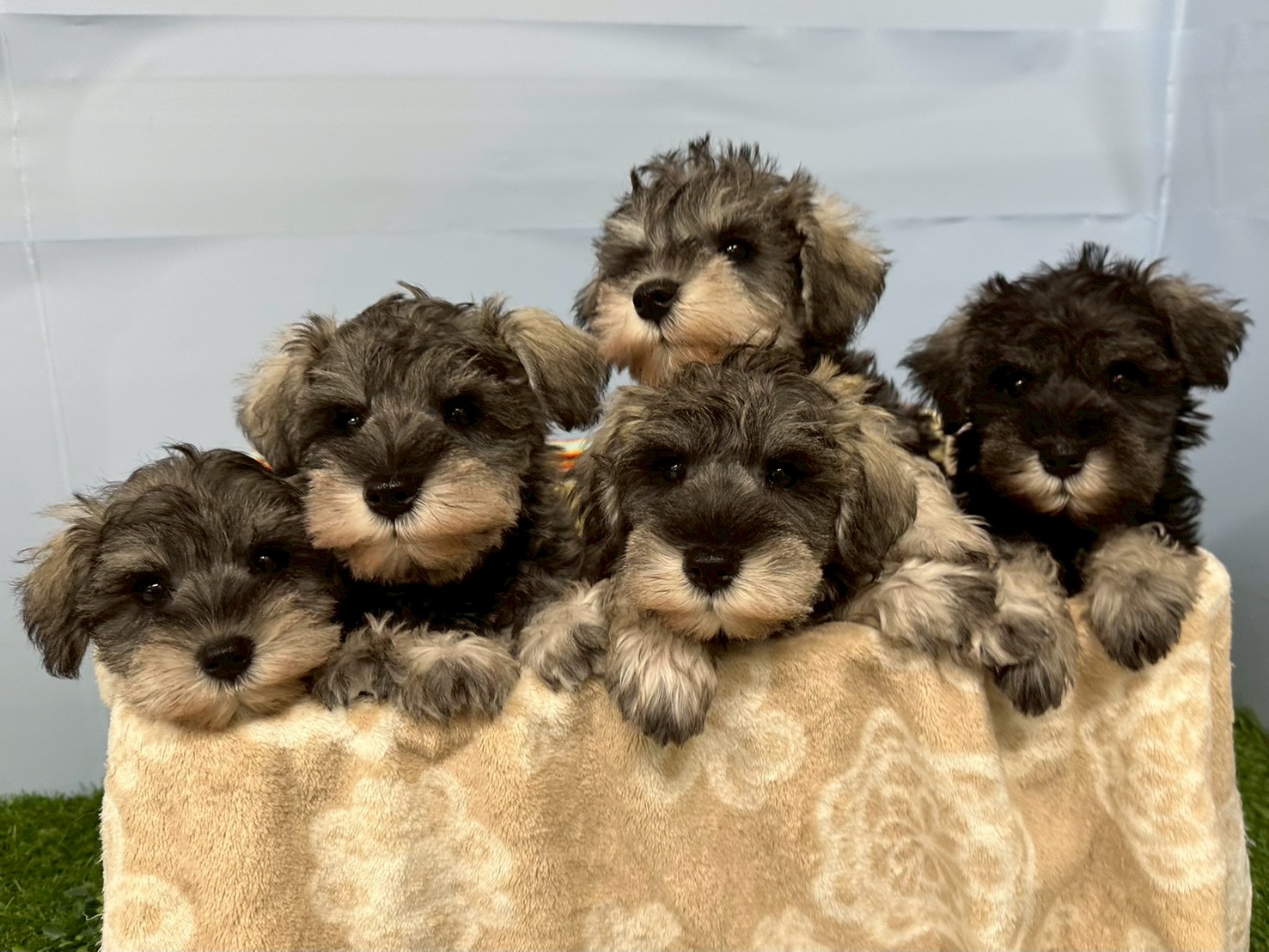 赤ちゃん写真3-3