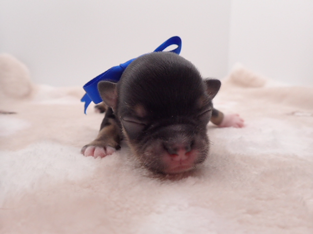 赤ちゃん写真1-1