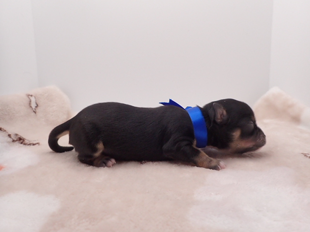 赤ちゃん写真1-2