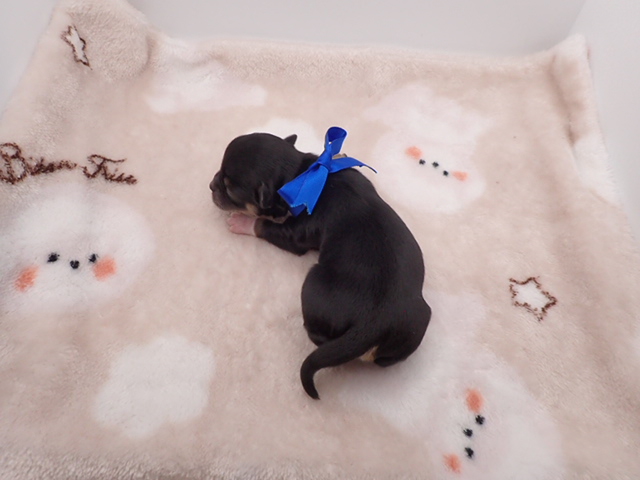 赤ちゃん写真1-3