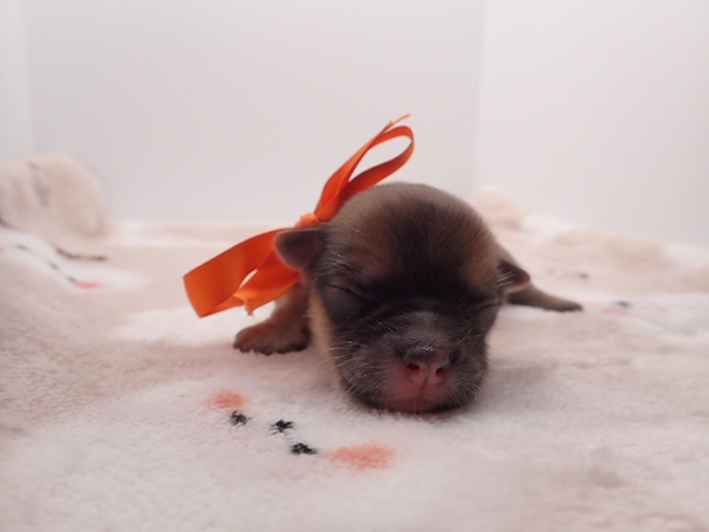 赤ちゃん写真1-1