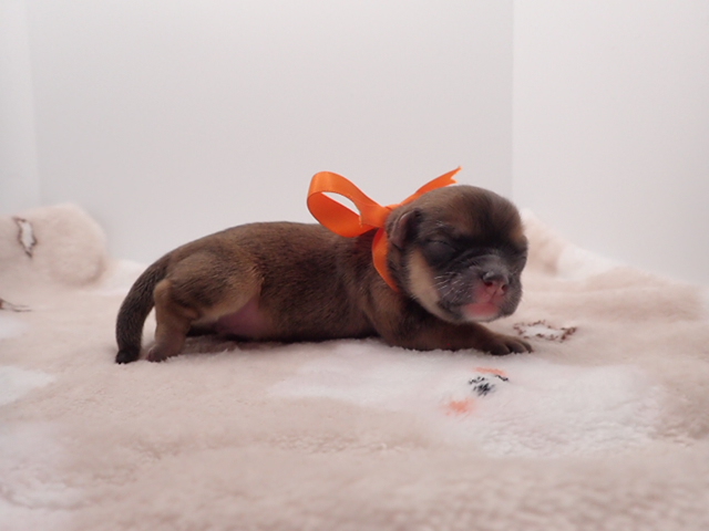 赤ちゃん写真1-2