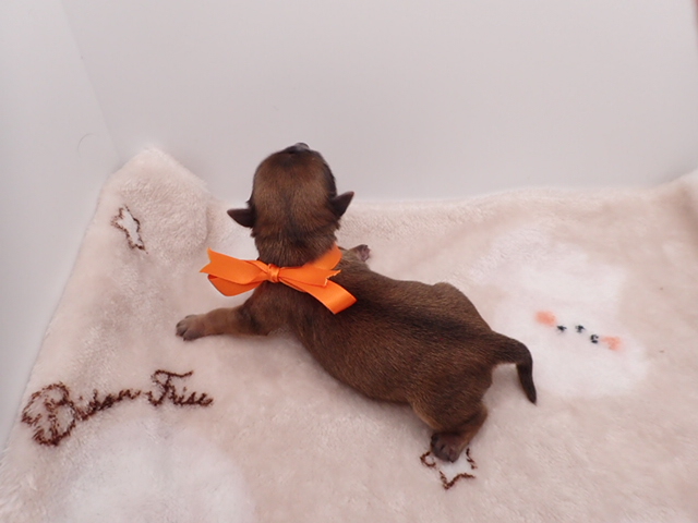 赤ちゃん写真1-3