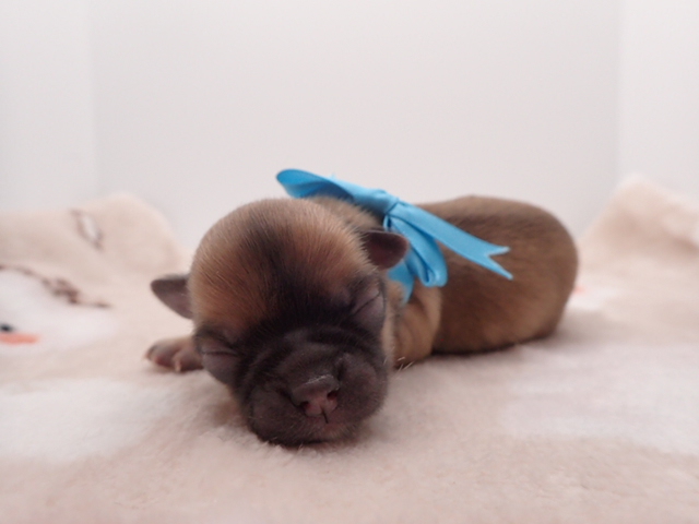 赤ちゃん写真1-1