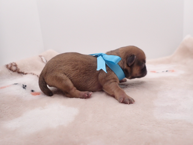 赤ちゃん写真1-2