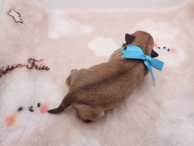 赤ちゃん写真1-3