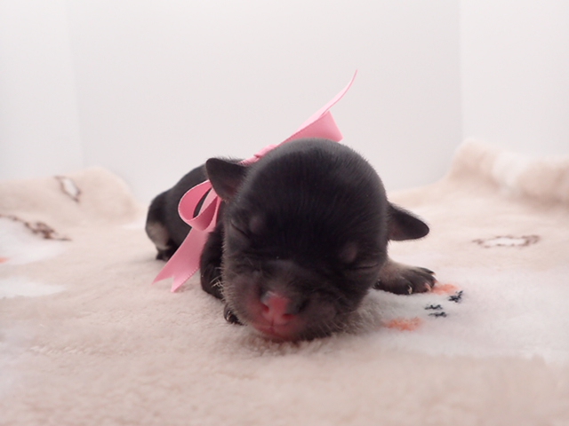 赤ちゃん写真1-1