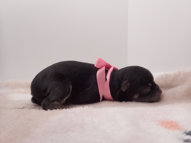 赤ちゃん写真1-2