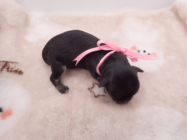 赤ちゃん写真1-3