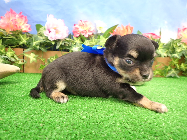 赤ちゃん写真2-2