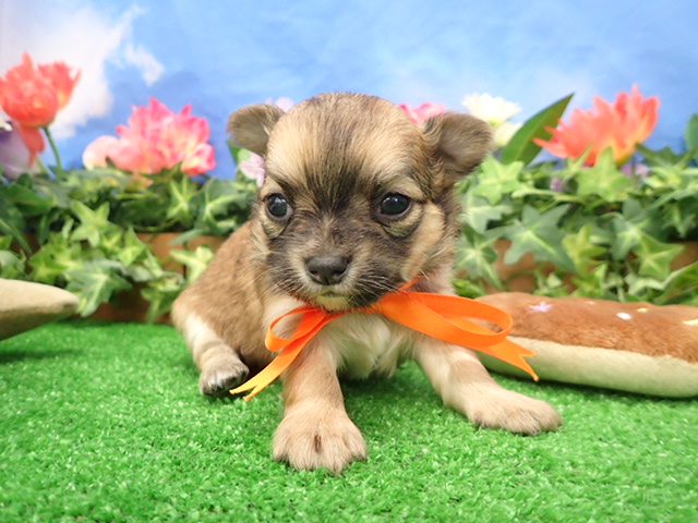 赤ちゃん写真2-1