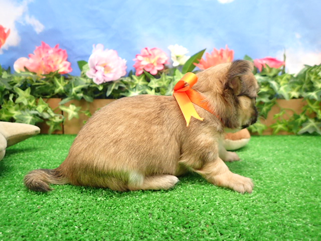 赤ちゃん写真2-2