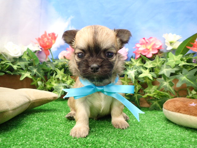 赤ちゃん写真2-1