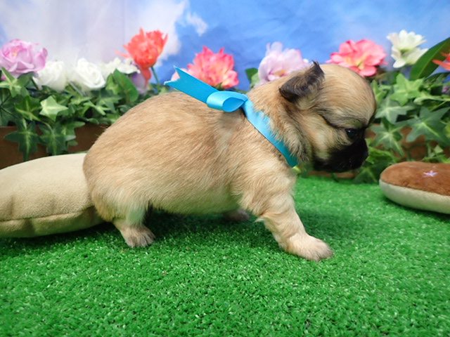 赤ちゃん写真2-2