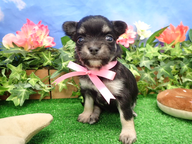 赤ちゃん写真2-1